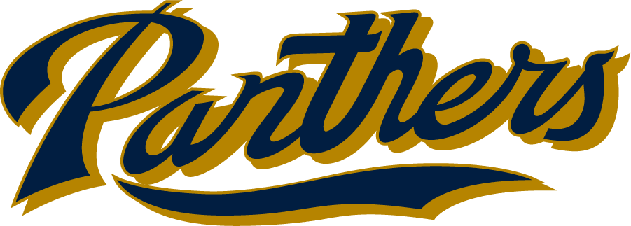 FIU Panthers 2017-Pres Wordmark Logo diy iron on heat transfer